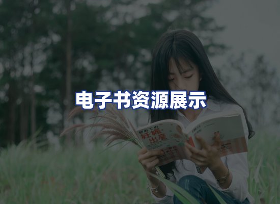 电子书资源展示